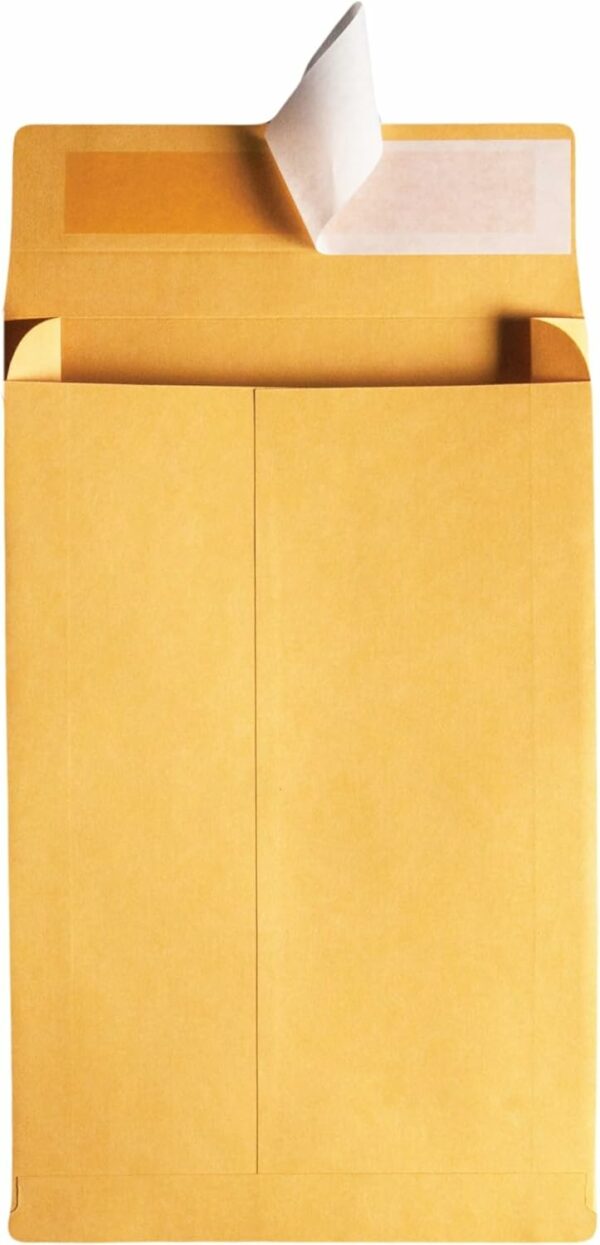 Expansion Envelopes, Redi-Strip, Brown Kraft, 9 x 12 x 2, 25 per Pack - Image 2
