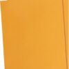 9" x 12" and 10" x 13" Clasp Kraft Envelopes, Gummed, 100-Pack