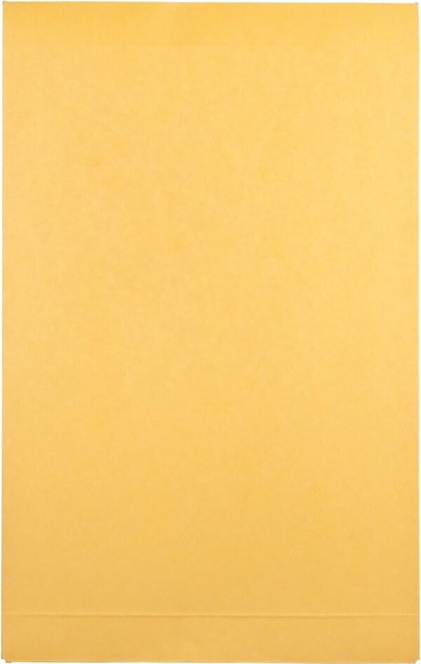 Expansion Envelopes, Redi-Strip, Brown Kraft, 9 x 12 x 2, 25 per Pack - Image 4