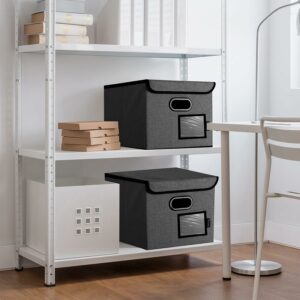 File Organizer Box with Lid, Collapsible File Folder Organizer with Plastic Slide, Hanging File Folder Box for Office Document Storage (1 Pack, Black)