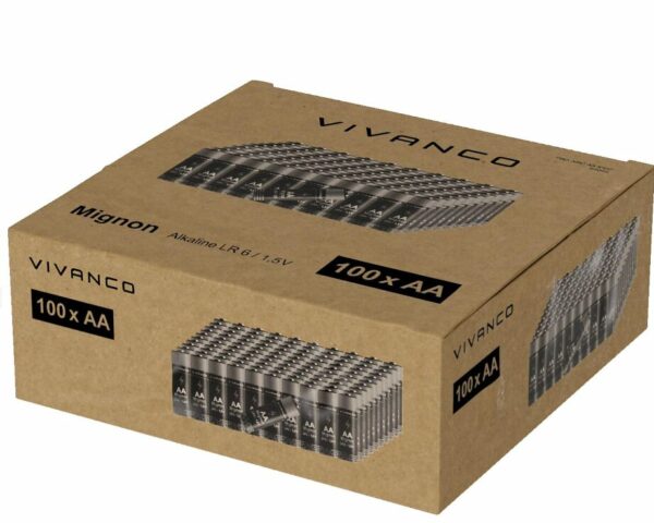 VIVANCO Mignon AA Battery, Alkaline Manganese, 1.5 Volt 100 Pieces