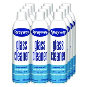 Glass Cleaner, 19 oz Aerosol Spray, 12/Carton