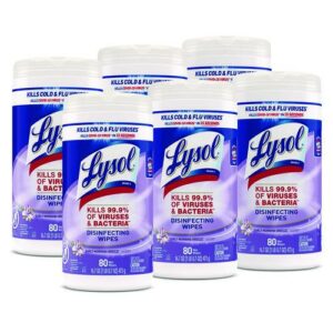 Disinfecting Wipes, 1-Ply, 7 x 7.25, Early Morning Breeze, White, 80 Wipes/Canister, 6 Canisters/Carton