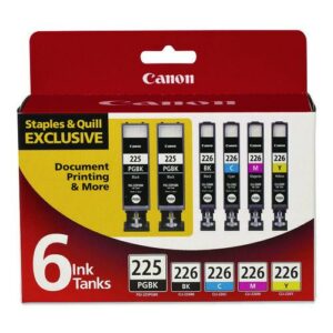 956114 (PGI-225, PGI-226) Ink, Black/Cyan/Magenta/(2) Photo Black/Yellow, 6/Pack