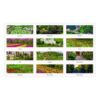 Recycled Gardens of the World Monthly Wall Calendar, Garden Scene Photography, 12 x 12, White Sheets, 12-Month (Jan-Dec):2025 - Image 3