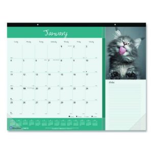 Pets Collection Monthly Desk Pad, Furry Kittens Photography, 22 x 17, White Sheets, Black Binding, 12-Month (Jan-Dec): 2025