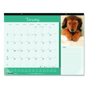 Pets Collection Monthly Desk Pad, Puppies Photography, 22 x 17, Black Binding, Clear Corners, 12-Month (Jan to Dec): 2025