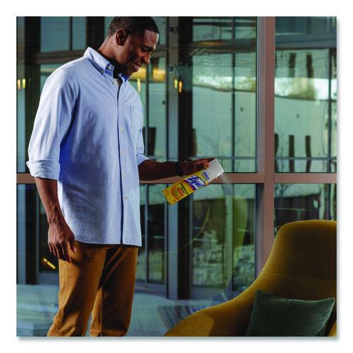 Disinfectant Spray, Original Scent, 19 oz Aerosol Spray - Image 3
