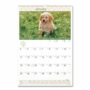 Puppies Monthly Wall Calendar, Puppies Photography, 15.5 x 22.75, White/Multicolor Sheets, 12-Month (Jan to Dec): 2026