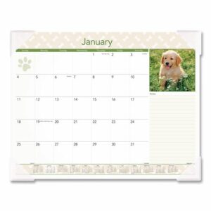 Puppies Monthly Desk Pad Calendar, Puppies Photography, 22 x 17, White Sheets, Clear Corners, 12-Month (Jan to Dec): 2026