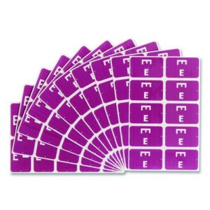 AlphaZ Color-Coded Second Letter Alphabetical Labels, E, 1 x 1.63, Purple, 10/Sheet, 10 Sheets/Pack