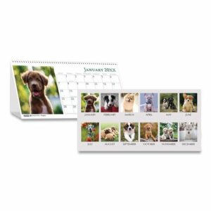 Earthscapes Recycled Desk Tent Monthly Calendar, Puppies Photography, 8.5 x 4.5, White Sheets, 12-Month (Jan to Dec): 2025